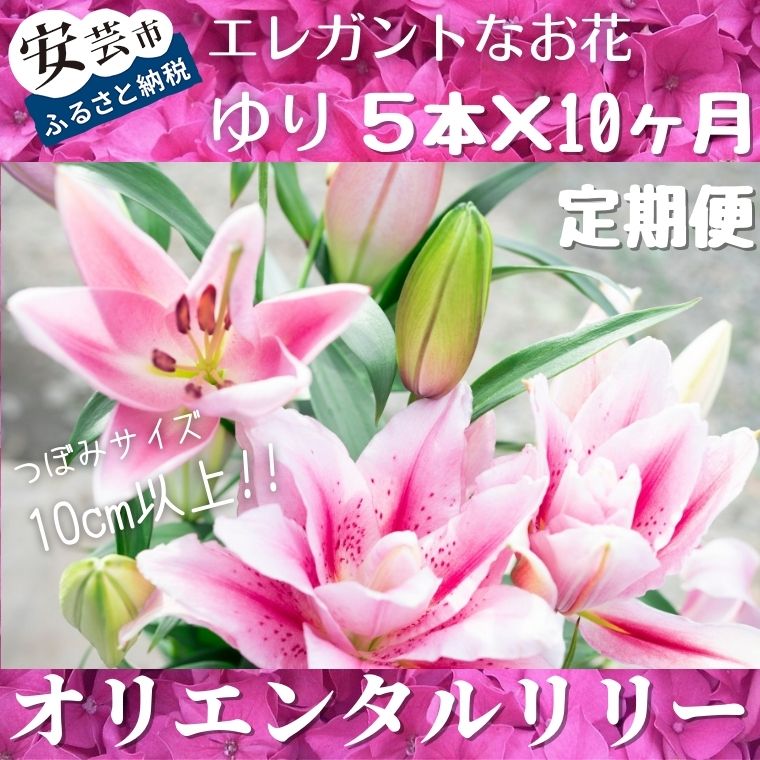 ユリ(オリエンタルリリー)5本×10ヶ月 毎月お届け 9〜6月 高知県安芸市「福田園芸」 オリエンタル・ハイブリットと呼ばれる品種 草丈や花が大きく、優雅で華麗なことが魅力 ギフトにもおすすめ 送料無料