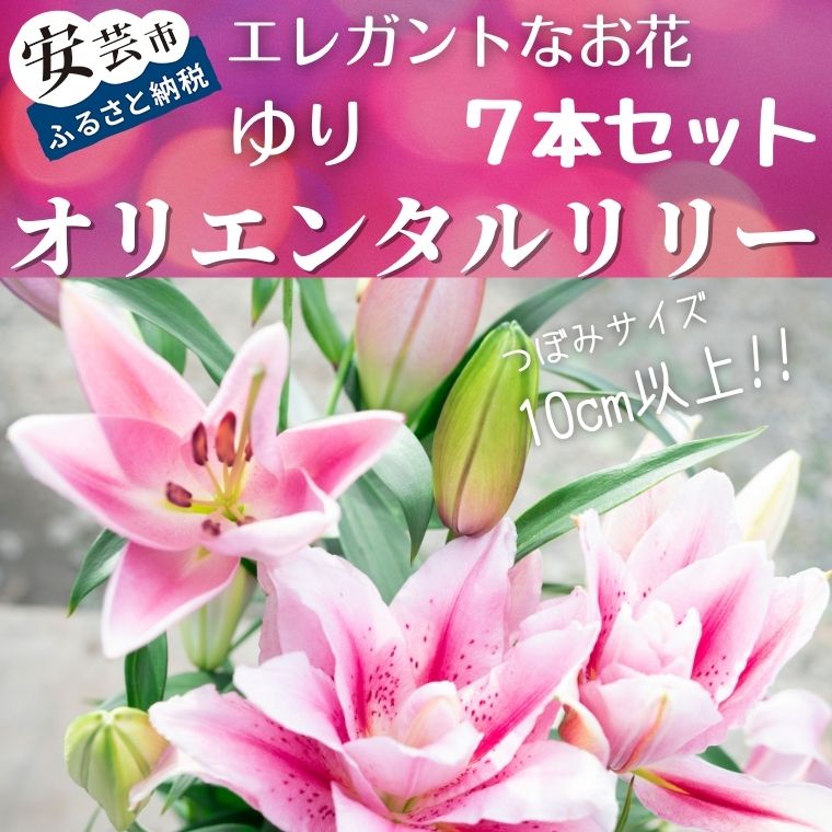 2位! 口コミ数「0件」評価「0」ユリ（オリエンタルリリー）7本セット　高知県安芸市「福田園芸」ゆり　オリエンタル・ハイブリット　大輪で香りが良く、ユリの王様、女王と呼ばれて･･･ 