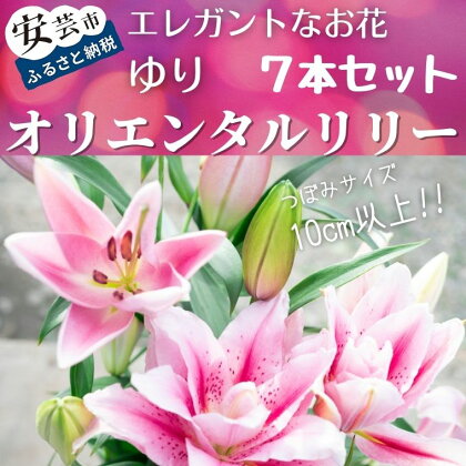 ユリ（オリエンタルリリー）7本セット　高知県安芸市「福田園芸」ゆり　オリエンタル・ハイブリット　大輪で香りが良く、ユリの王様、女王と呼ばれています　ギフトにもおすすめ　プレゼント　送料無料