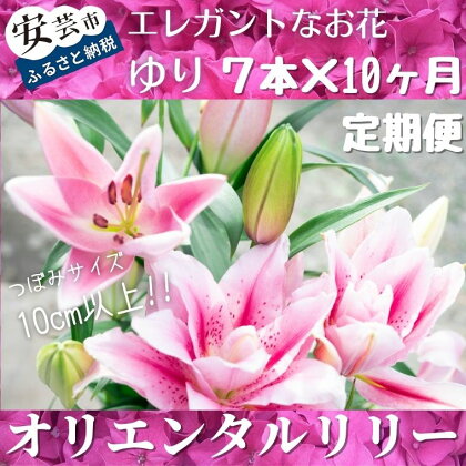 ユリ（オリエンタルリリー）7本×10ヶ月 毎月お届け 9〜6月　高知県安芸市「福田園芸」　オリエンタル・ハイブリットと呼ばれる品種　草丈や花が大きく、優雅で華麗なことが魅力　ギフトにもおすすめ　送料無料