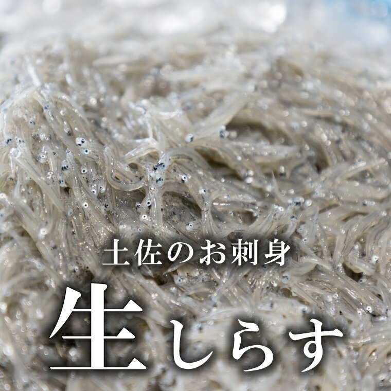 土佐のお刺身「生しらす」3個セット ≪しらす出汁を使った特製のポン酢タレ付き≫