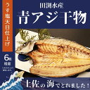 【ふるさと納税】青アジのひらき｜田渕水産の干物　高知県安芸市　田渕水産　老舗の味　新鮮な青アジ　青アジの開き　うす塩天日　ご飯..