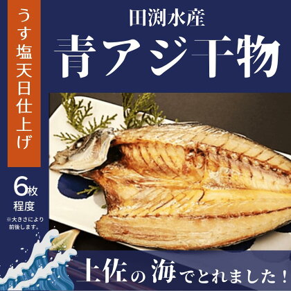 青アジのひらき｜田渕水産の干物　高知県安芸市　田渕水産　老舗の味　新鮮な青アジ　青アジの開き　うす塩天日　ご飯のおかず　晩酌のおともに