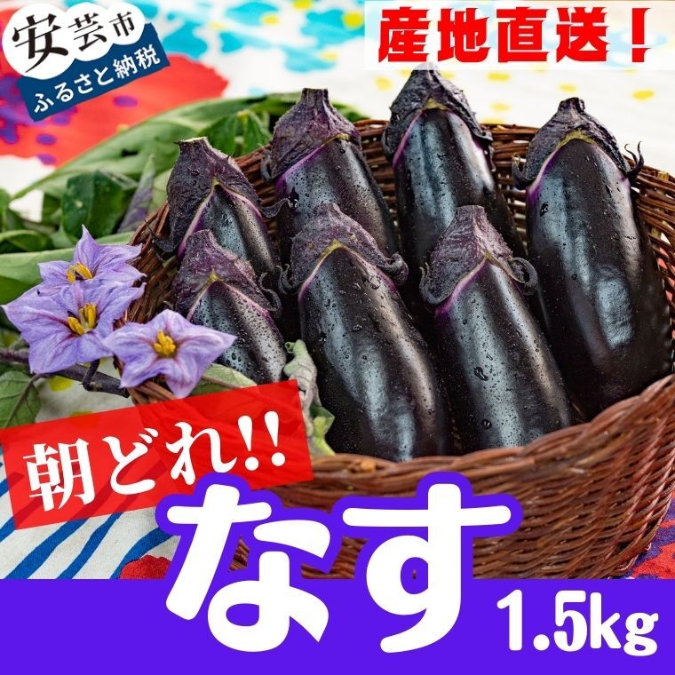 【ふるさと納税】農家直送! 朝採れナス1.5kg 高知県安芸市産　新鮮　茄子　薄皮　漬物や味噌汁、カ ...