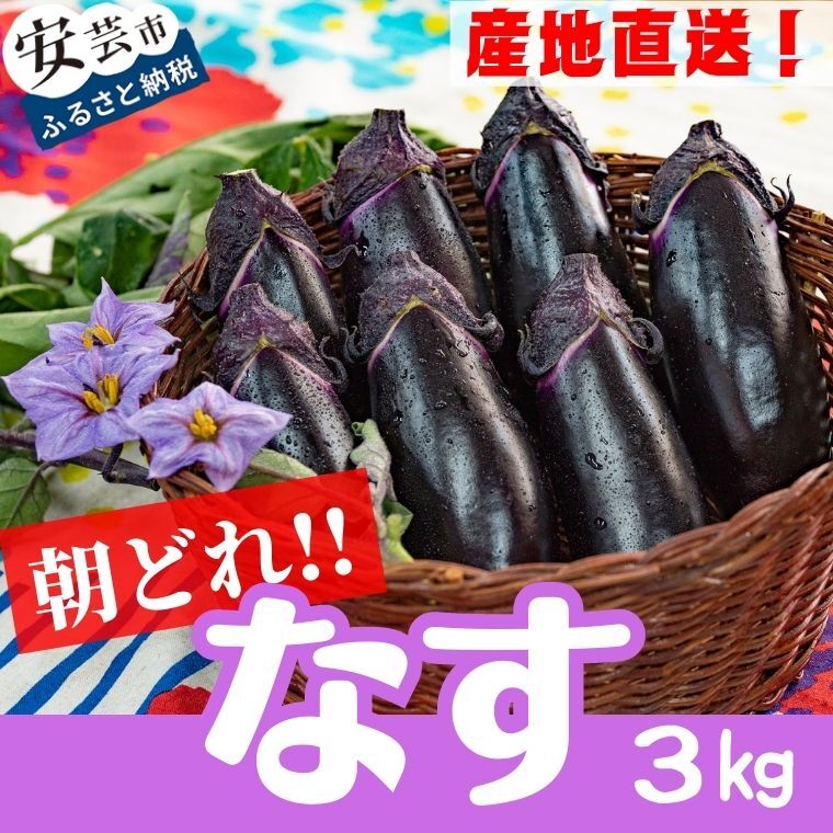 【ふるさと納税】69-1 農家直送！高知県安芸市産　朝採れナス　3キロ　新鮮　茄子　薄皮　漬物や味噌汁、カレー、中華料理などにおすすめ　送料無料