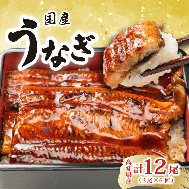 【ふるさと納税】 厳選 高知県産 うなぎ 蒲焼き 2尾 6回定期便 特製たれ 国産 ウナギ 鰻 土用丑の日 スタミナ食 夏バテ対策 贈り物 グルメ ギフト 冷凍 真空パック 地域 人気 有名店 安芸市 高知県