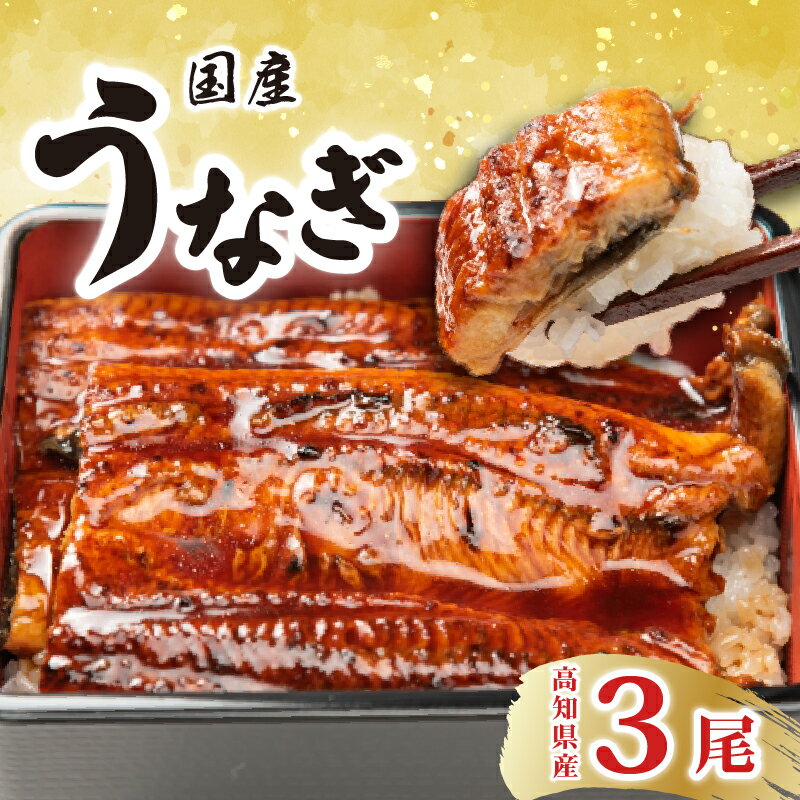 【ふるさと納税】厳選！！高知県産うなぎ（3尾）　特製たれで味わう　四万十川など清流が多い高知県産のウナギ　国産　地域で人気の有名店　送料無料
