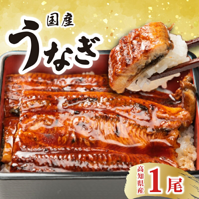 【ふるさと納税】厳選！！高知県産うなぎ（1尾）　特製たれで味わう　四万十川など清流が多い高知県産のウナギ　国産　地域で人気の有名店　送料無料