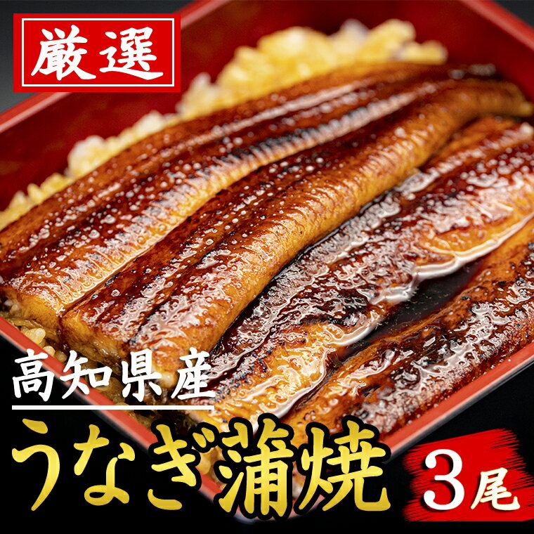 7位! 口コミ数「0件」評価「0」厳選！！高知県産うなぎ（3尾）　特製たれで味わう　四万十川など清流が多い高知県産のウナギ　国産　地域で人気の有名店　送料無料