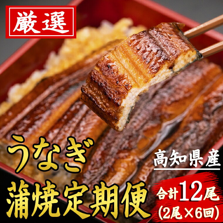 【ふるさと納税】厳選!!高知県産うなぎの蒲焼き(2尾) 6回