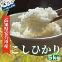 《令和5年産》安芸の豊かな自然の恵みを頂いて育ったお米「こしひかり」5kg　高知県安芸市　農家直送　米　5kg　白米　コシヒカリ