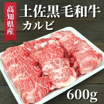 土佐黒毛和牛 カルビ 600g　高知県安芸市　高知県産　国産黒毛和牛　カルビ　牛肉　キャンプ　グルメ　BBQ　焼肉　お取り寄せグルメ　お歳暮　ギフト　送料無料