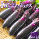 【ふるさと納税】 なす 選べる 1kg 2kg 3kg 3回定期便 6回定期便 約10本 ~ 30本 2025年10月中旬より発送予定 採れたて 産地直送 農家直送 選べる 回数 定期便 新鮮 旬 野菜 やさい 茄子 ナス なすび 先行予約 期間限定 季節 料理 ご飯 ごはん 高知県安芸市