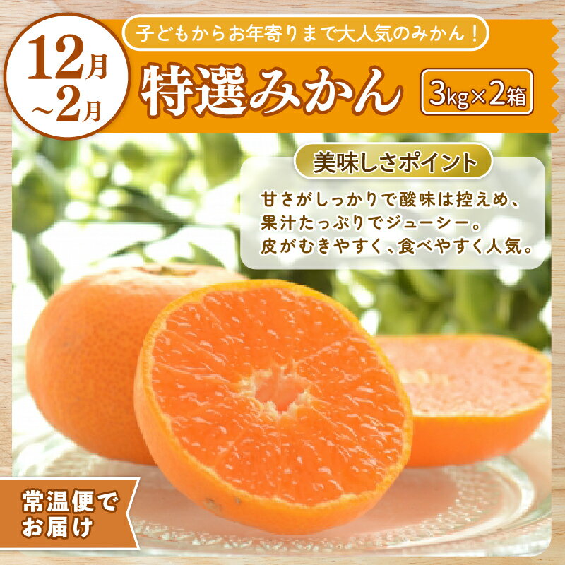 【ふるさと納税】【先行受付開始！】 年5回安芸市フルーツ定期便B【7万円コース】　先行予約　太陽をたっぷり浴びて育った人気の果物セット　高級　ご褒美　プチ贅沢　甘い　いちご　みかん　土佐文旦　小夏　マンゴー　生ライチ　高知県安芸市　送料無料