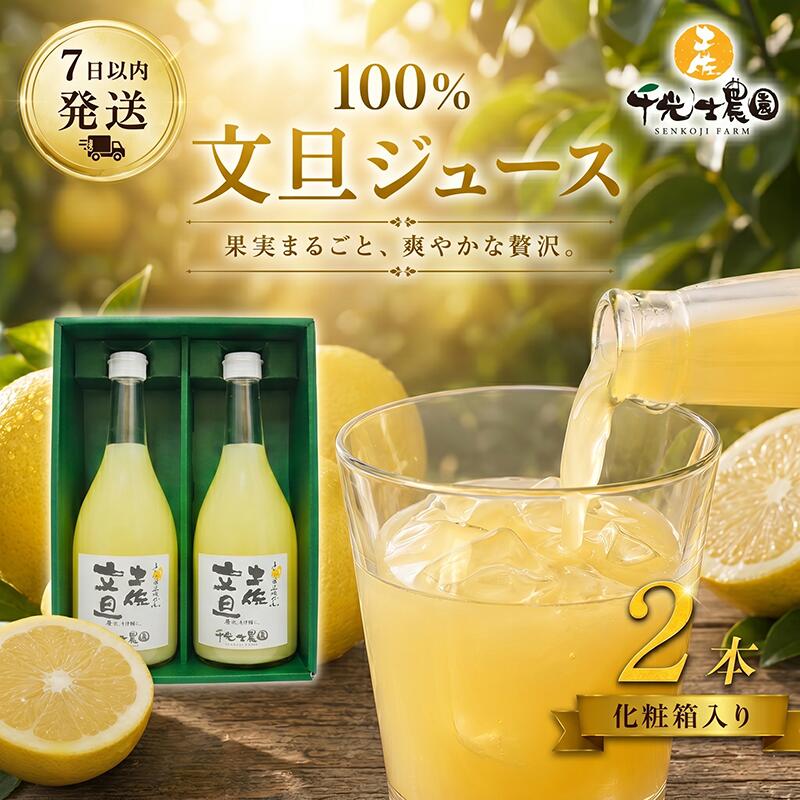 文旦 フレッシュ ジュース 2本セット 果汁 100% ぶんたん 土佐文旦 高知県 柑橘 みかん 国産 ストレート ギフト 贈答用 720ml 2本 高知特産 フルーツジュース 濃厚 香り 甘味 苦み 農家直送 瓶詰め 果実本来 味 風味 太陽 南国 返礼品 安芸市 高知県