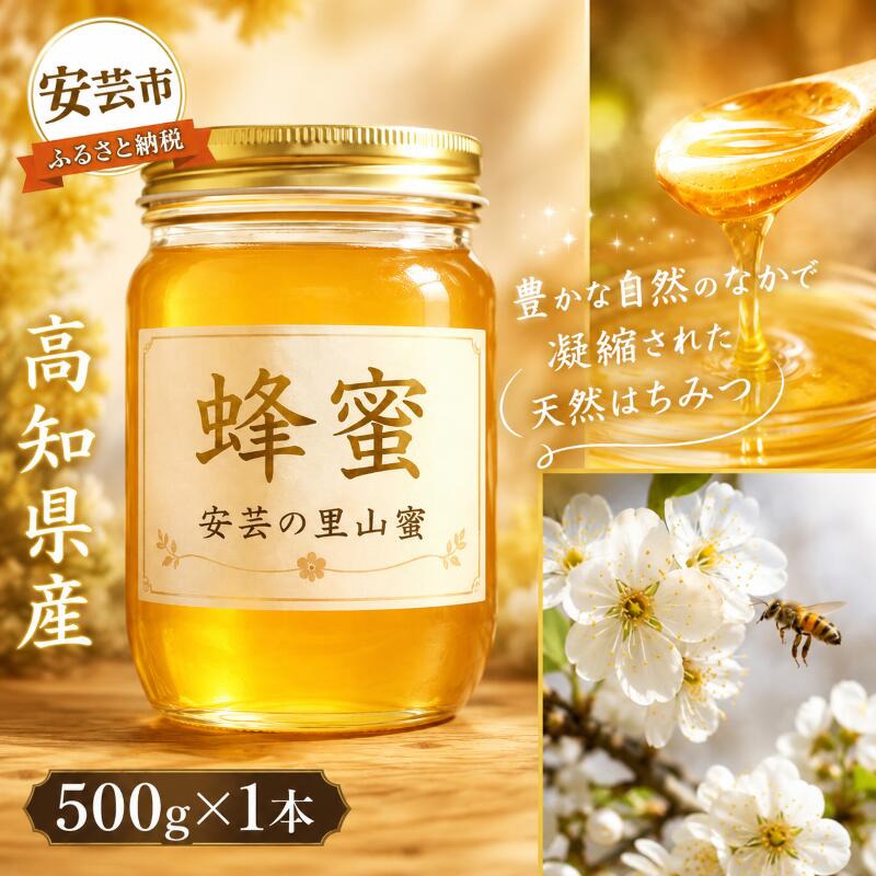 【ふるさと納税】 安芸の里山蜜　500g　高知県安芸市　安芸ぢばさん市場　ハチミツ　蜂蜜　ハニー　天...