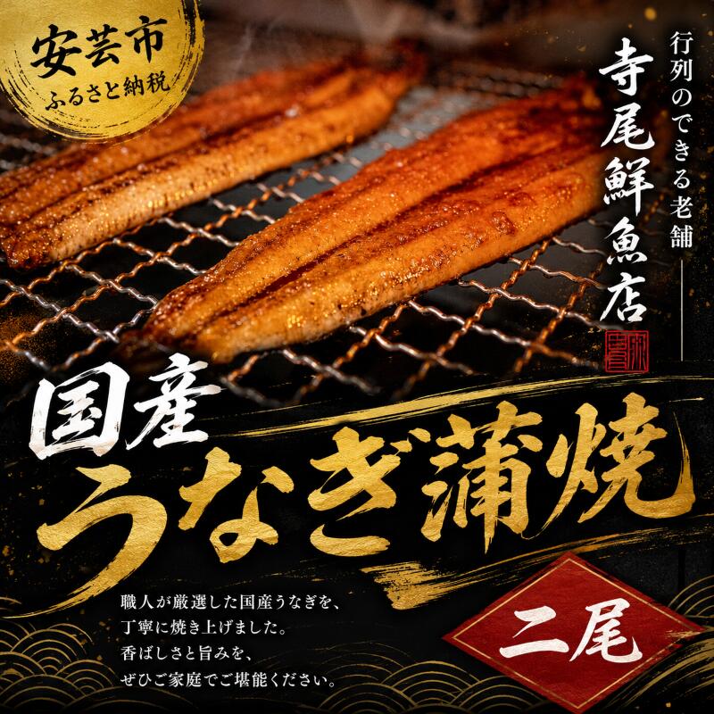 【ふるさと納税】うなぎ蒲焼 国産 2尾 冷凍 タレ付き　高知県安芸市　寺尾鮮魚　ウナギ　鰻　かば焼き　国産　創業60年以上　行列のできる老舗　特製たれ付き