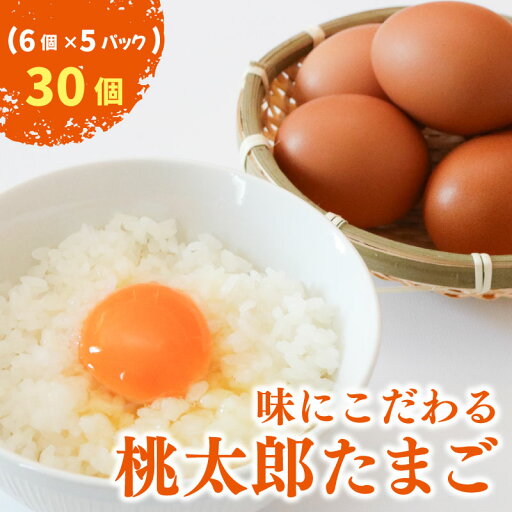 【ふるさと納税】 桃太郎たまご 6個入り×5パック | たまご 卵 鶏卵 たまごかけごはん たまごかけ TKG おいしい 赤玉 高級 人気 おすすめ 高知県 南国市 【ふるさと納税】 桃太郎たまご 6個入り×5パック | たまご 卵 鶏卵 たまごかけごはん たまごかけ TKG おいしい 赤玉 高級 人気 おすすめ 高知県 南国市