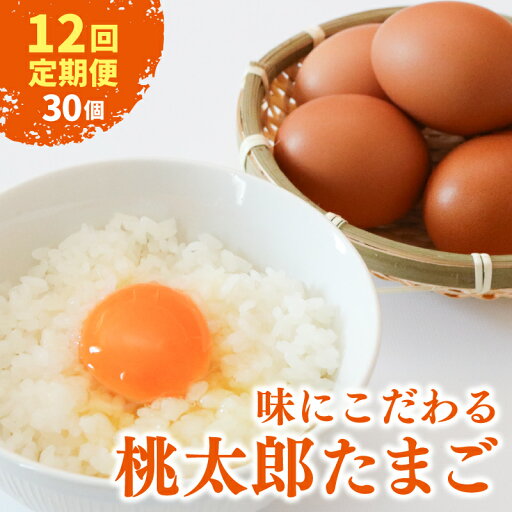 【ふるさと納税】 【12回定期便】 桃太郎たまご 15個入り×2パック | たまご 卵 鶏卵 たまごかけごはん たまごかけ TKG おいしい 赤玉 高級 人気 おすすめ 高知県 南国市 【ふるさと納税】 【12回定期便】 桃太郎たまご 15個入り×2パック | たまご 卵 鶏卵 たまごかけごはん たまごかけ TKG おいしい 赤玉 高級 人気 おすすめ 高知県 南国市