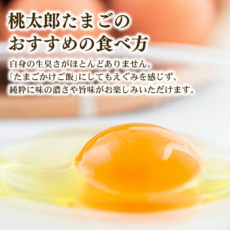 【ふるさと納税】 【3回定期便】 桃太郎たまご 6個入り×5パック | たまご 卵 鶏卵 たまごかけごはん たまごかけ TKG おいしい 赤玉 高級 人気 おすすめ 高知県 南国市