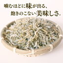 高知県南国市の画像2