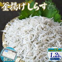 【ふるさと納税】 定期便12回 釜揚げしらす 1.2kg シラス しらす ちりめん じゃこ かちり 小魚 魚貝 魚貝類 海鮮 釜揚げ ごはん 丼 魚 料理 しら...