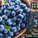 【ふるさと納税】 農家直送 完熟生ブルーベリー ラビットアイ系 600g×2箱 2025年発送 土佐ひらやま農園 ブルーベリー フルーツ 果物 くだもの 食品 人気 美容 おすすめ 期間限定 数量限定 高知県 南国市