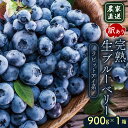 【ふるさと納税】 農家直送 訳あり 完熟生ブルーベリー ラビットアイ系 900g 2025年発送 土佐ひらやま農園 ブルーベリー フルーツ 果物 くだもの 食品 人気 美容 おすすめ 期間限定 数量限定 高知県 南国市