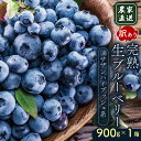 【ふるさと納税】 訳あり 農家直送 完熟生ブルーベリー(サザンハイブッシュ系)900g 2026年発送 早期予約 土佐ひらやま農園 ブルーベリー フルーツ 果物 くだもの 食品 人気 美容 おすすめ 期間限定 数量限定 高知県 南国市