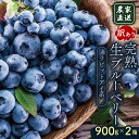 【ふるさと納税】 訳あり 農家直送 完熟生ブルーベリー ラビットアイ系 1800g 2025年発送 土佐ひらやま農園 ブルーベリー フルーツ 果物 くだもの 食品 人気 美容 おすすめ 期間限定 数量限定 高知県 南国市