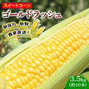 【ふるさと納税】 訳あり スイートコーン (ゴールドラッシュ) 3.5kg 10本 | 2026年発送 6月 早期予約 スイート コーン 野菜 トウモロコシ とうもろこし 厳選 人気 夏 やさい 旬 甘い 先行予約 産地直送 数量限定 冷蔵 期間限定 季節限定 おすすめ 高知県 南国市