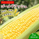 【ふるさと納税】 訳あり スイートコーン (ゴールドラッシュ) 7kg 約20本 | 2026年発送 6月 早期予約 スイート コーン 野菜 トウモロコシ とうもろこし 厳選 人気 夏 やさい 旬 甘い 先行予約 産地直送 数量限定 冷蔵 期間限定 季節限定 おすすめ 高知県 南国市