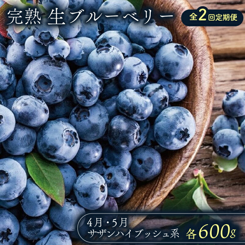 農家直送 完熟生ブルーベリー サザンハイブッシュ系 600g 2回 定期便 2026年発送 早期予約 土佐ひらやま農園 ブルーベリー フルーツ 果物 くだもの 食品 人気 美容 おすすめ 期間限定 数量限定 高知県 南国市