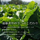 高知県南国市の画像3