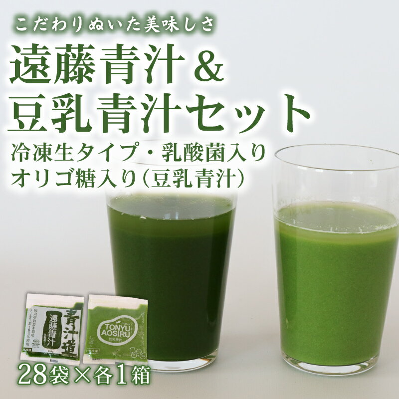 遠藤青汁と豆乳青汁 [生] 冷凍 各28袋×2種セット 計5.6kg( 100g × 56袋 ) | 健康 美容 乳酸菌 国産 ケール ビタミン ミネラル 食物繊維 冷凍 ロングセラー お試し青汁 遠藤青汁 新鮮 高知県 南国市