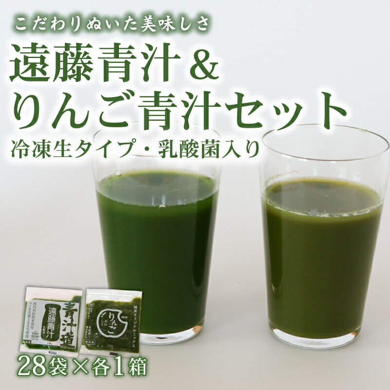遠藤青汁とりんご青汁[生] 冷凍 各28袋×2種セット 計5.6kg( 100g × 56袋 ) | 健康 美容 乳酸菌 国産 ケール ビタミン ミネラル 食物繊維 冷凍 ロングセラー お試し青汁 遠藤青汁 新鮮 高知県 南国市