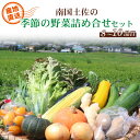 【ふるさと納税】 南国 土佐 季節 野菜 詰め合わせ セット 旬 やさい 野菜 農家直送 お楽しみ かぼちゃ カボチャ キャベツ きゃべつ トマト 玉ねぎ きゅ...