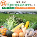 【ふるさと納税】 4回定期便 南国 土佐 季節 野菜 詰め合わせ セット 間隔発送 旬 やさい 野菜 農家直送 お楽しみ かぼちゃ カボチャ キャベツ きゃべつ トマト 玉ねぎ きゅうり 旬野菜 夏野菜 春野菜 人気 高知県 南国市