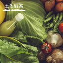 【ふるさと納税】 定期便 全6回 土佐野菜 旬の野菜の詰め合わせ セット 新鮮 野菜 毎月 送料無料 人気 おすすめ 高知県 南国市