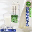 【ふるさと納税】 【定期便】山地酪農牛乳1L×3本【週1回配送/6回】 | 低温殺菌 自然放牧 こだわり おいしい 牛乳 ミルク 朝食 人気 おすすめ 国産 高...
