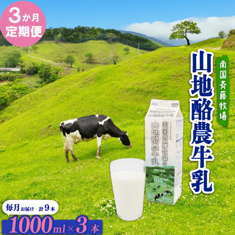 【ふるさと納税】 3か月定期便 山地酪農牛乳 1L×3本 南国斉藤牧場 低温殺菌 成分無調整 牛乳 生乳100％ ノンホモジナイズ 1L 1リットル ぎゅうにゅう ミルク 送料無料 自然放牧 高知県 南国市