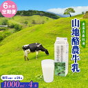 【ふるさと納税】 6か月定期便 山地酪農牛乳 1L×4本 南国斉藤牧場 低温殺菌 成分無調整 牛乳 生乳100% ノンホモジナイズ 1L 1リットル ぎゅうにゅう ミルク 送料無料 自然放牧 高知県 南国市|詳細画像