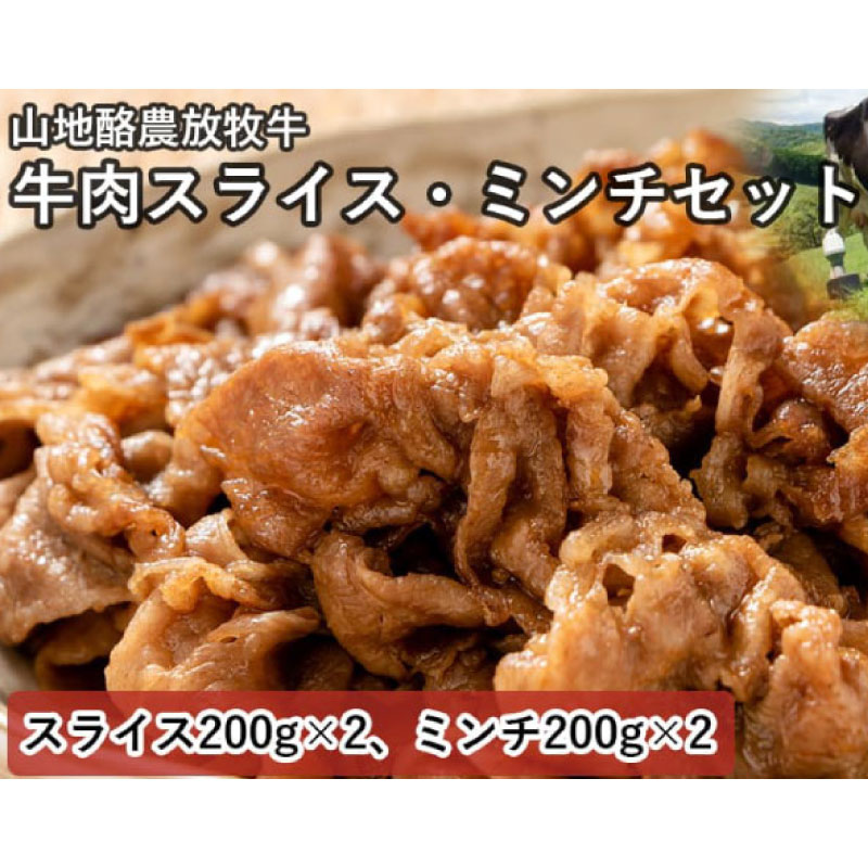 【ふるさと納税】 【南国斉藤牧場】山地酪農放牧牛の牛肉スライス・ミンチセット　各200g×2（計800g） | 肉 お肉 にく 食品 南国市産 人気 おすすめ 送料無料 ギフト セット