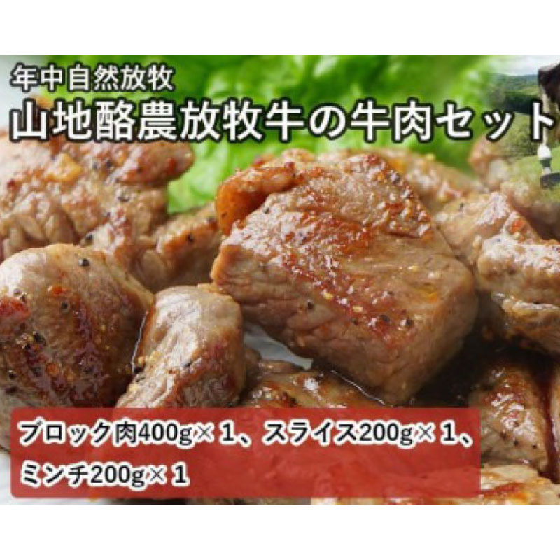 【ふるさと納税】 【南国斉藤牧場】山地酪農放牧牛の牛肉3種セット（計800g） | 肉 お肉 にく 食品 南国市産 人気 おすすめ 送料無料 ギフト セット