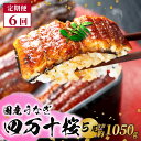 【ふるさと納税】【通常用】【6回定期便】極上国産うなぎ四万十桜 蒲焼き約210g×5尾 | 特大 うなぎ 鰻 蒲焼き 定期便 国産 四万十鰻 白焼き 調理済み ...