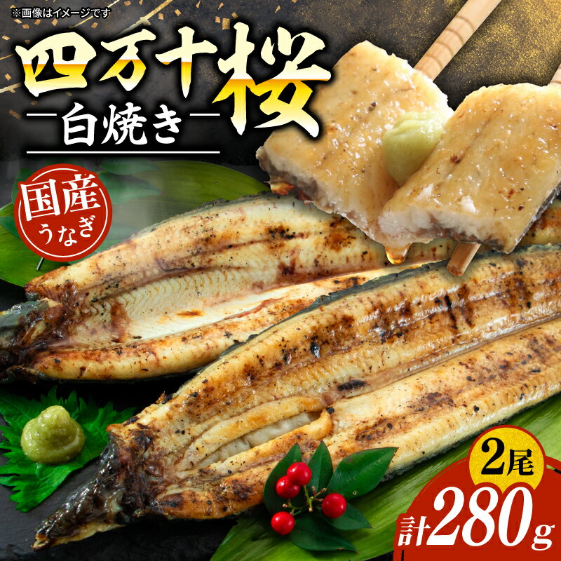[通常用]極上国産うなぎ四万十桜 白焼き約140g×2尾 | うなぎ 鰻 白焼き 国産 四万十鰻 ウナギ 蒲焼き 調理済み タレ付き ギフト(お歳暮/お正月)高級 お取り寄せ グルメ ウナギ 食べ比べ 冷凍