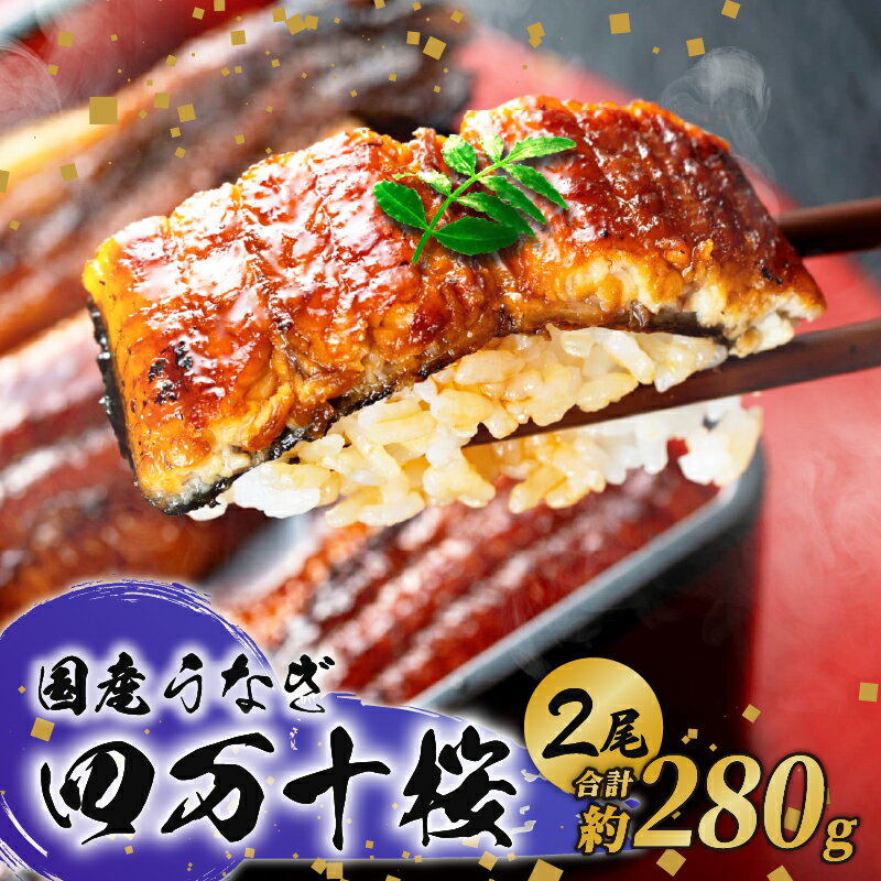 [贈答用]極上 国産 うなぎ 四万十桜 蒲焼き 約140g×2尾 うなぎ 鰻 蒲焼き 国産 四万十鰻 白焼き 調理済み タレ付き ギフト(お歳暮/お正月)高級 お取り寄せ グルメ 食べ比べ 冷凍