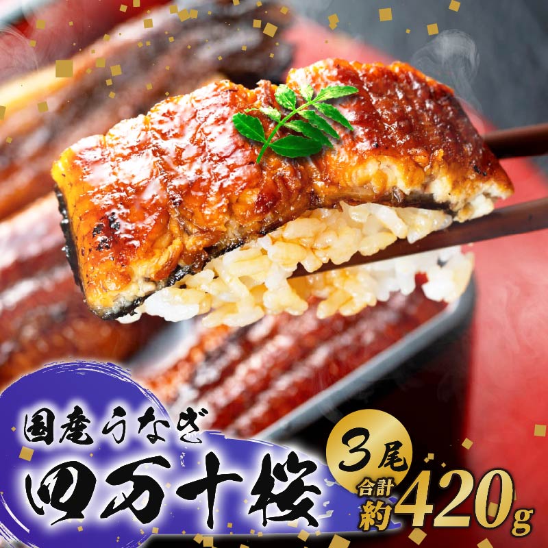 [通常用]極上国産うなぎ四万十桜 蒲焼き約140g×3尾 | うなぎ 鰻 蒲焼き 国産 四万十鰻 白焼き 調理済み タレ付き ギフト(お歳暮/お正月)高級 お取り寄せ グルメ 食べ比べ 冷凍