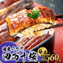 【ふるさと納税】【贈答用】極上国産うなぎ四万十桜 蒲焼き約140g×4尾 | うなぎ 鰻 蒲焼き 国産 四万十鰻 白焼き 調理済み タレ付き ギフト(お歳暮/お...