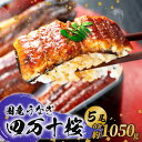 【ふるさと納税】 通常用 極上国産うなぎ四万十桜 蒲焼き約210g×5尾 特大 完全無投薬 うなぎ ウナギ 鰻 蒲焼き 蒲焼 国産 四万十鰻 調理済み タレ・山椒付き 土用の丑の日 お歳暮 お正月 高級 お取り寄せ こだわり ギフト プレゼント 贈答 贈り物 冷凍 高知県 南国市